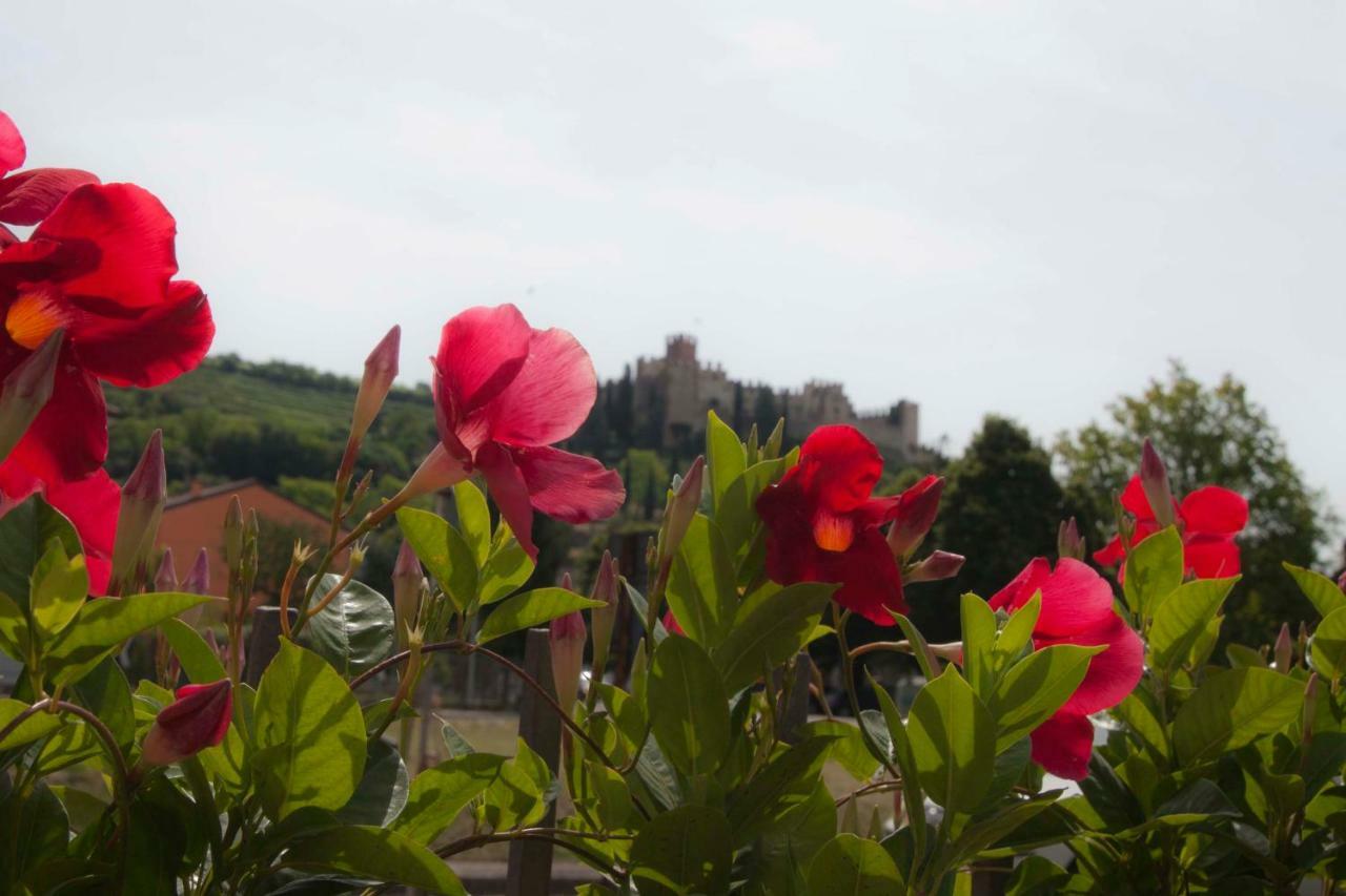 La Finestra Sul Castello Hotell Soave  Eksteriør bilde